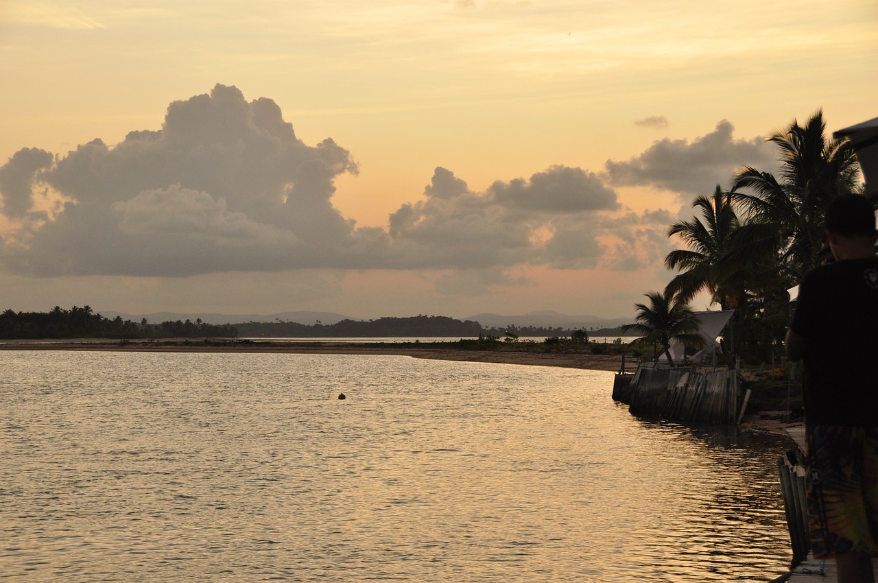 Beach Paradise and Culinary Delights in Maraú, Bahia