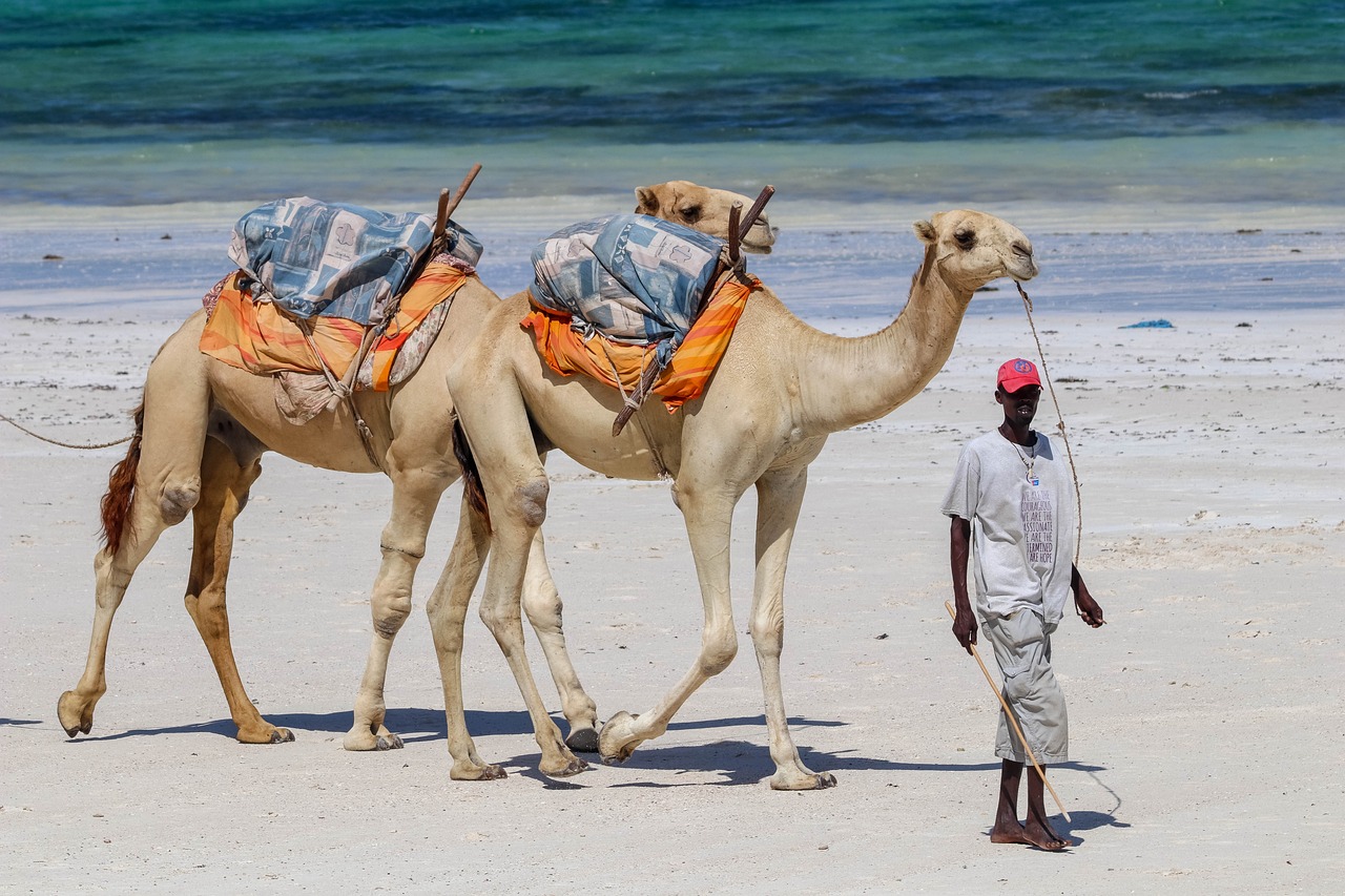 Beach Bliss and Local Flavors in Diani