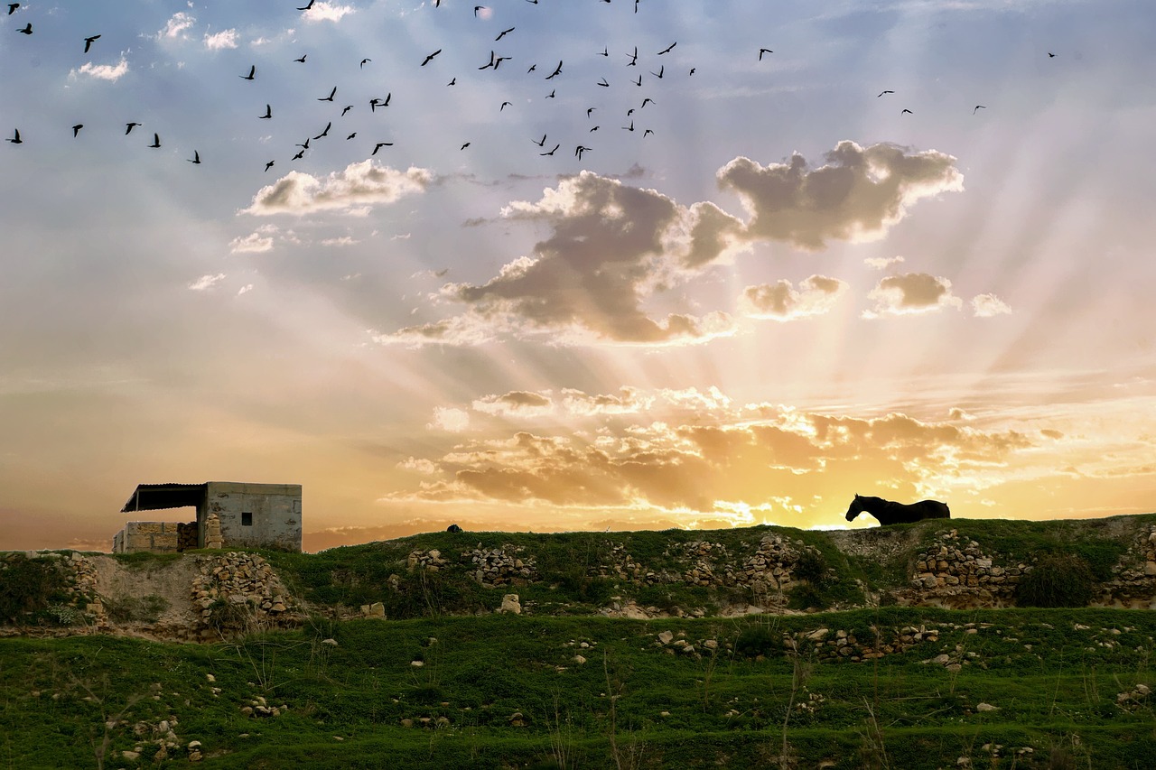 Tranquil Day in Gozo: Nature and Culinary Delights