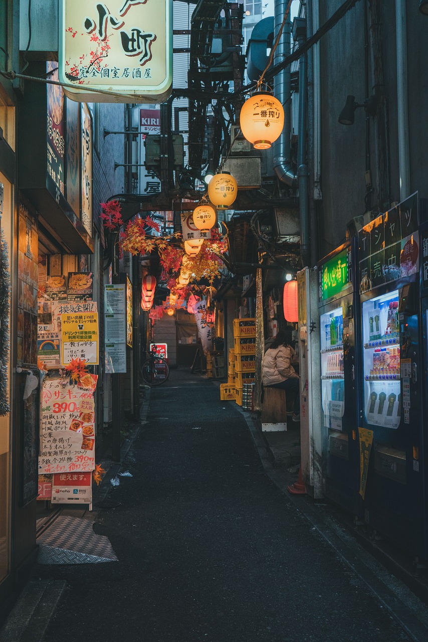 Ultimate 5-Day Tokyo Adventure with Shinjuku Vibes