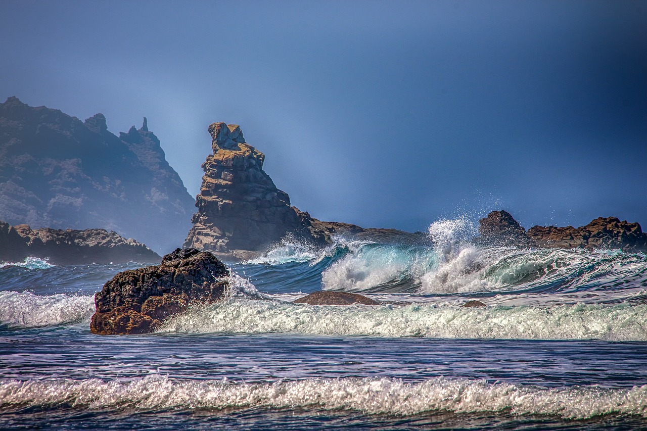 Tenerife's Southern Charms: A Culinary and Cultural Journey