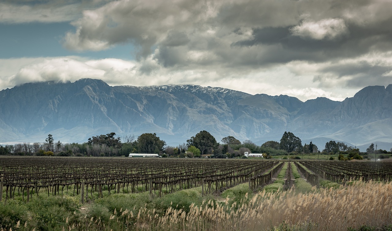 Culinary Delights in Little Karoo