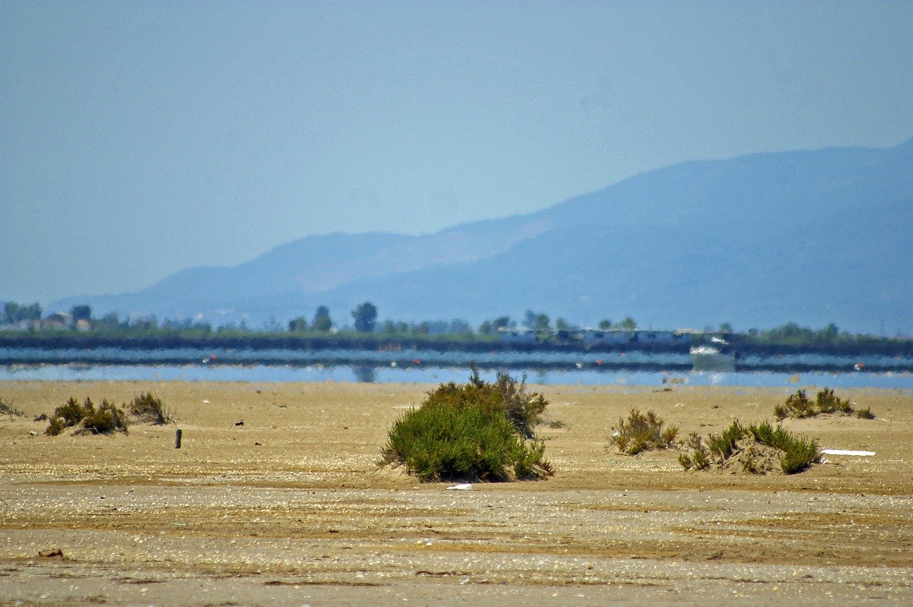 Delta del Ebro Nature and Gastronomy Exploration