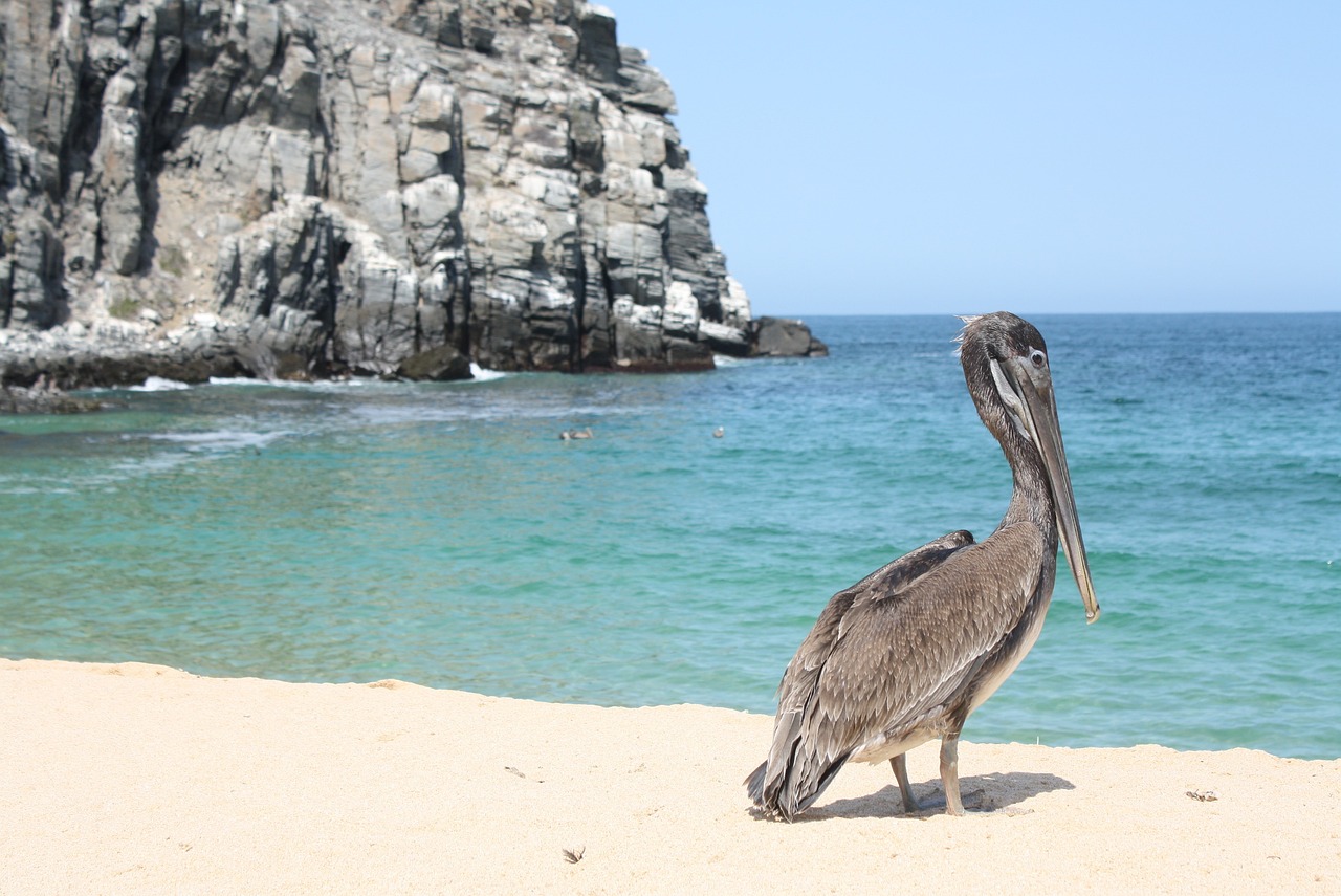 Baja California Beaches and Landmarks