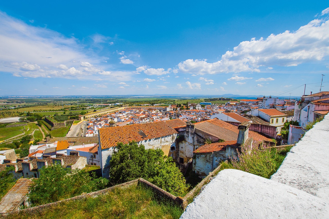 Cultural and Culinary Delights in Elvas