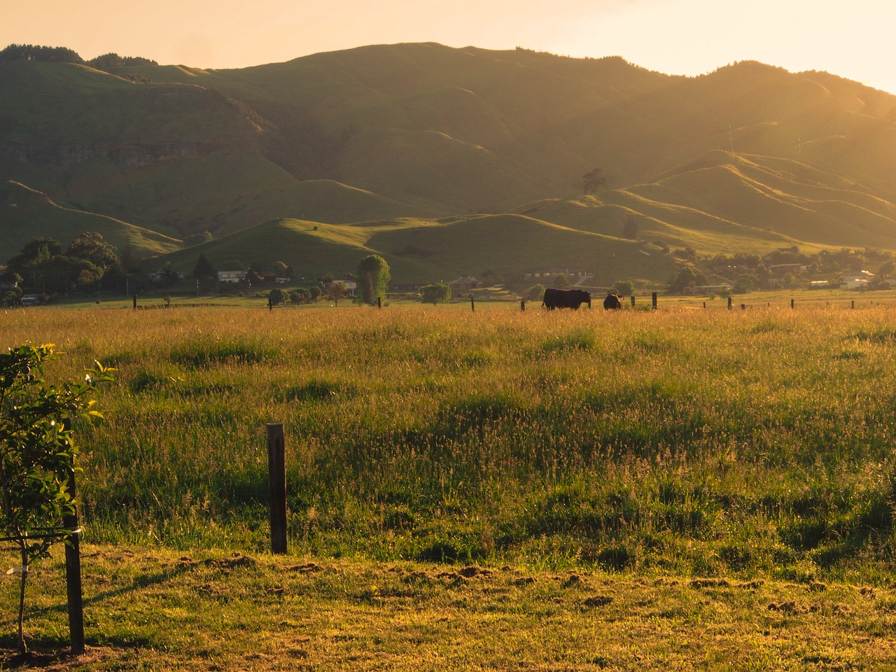 Adventure and Culinary Delights in Paeroa