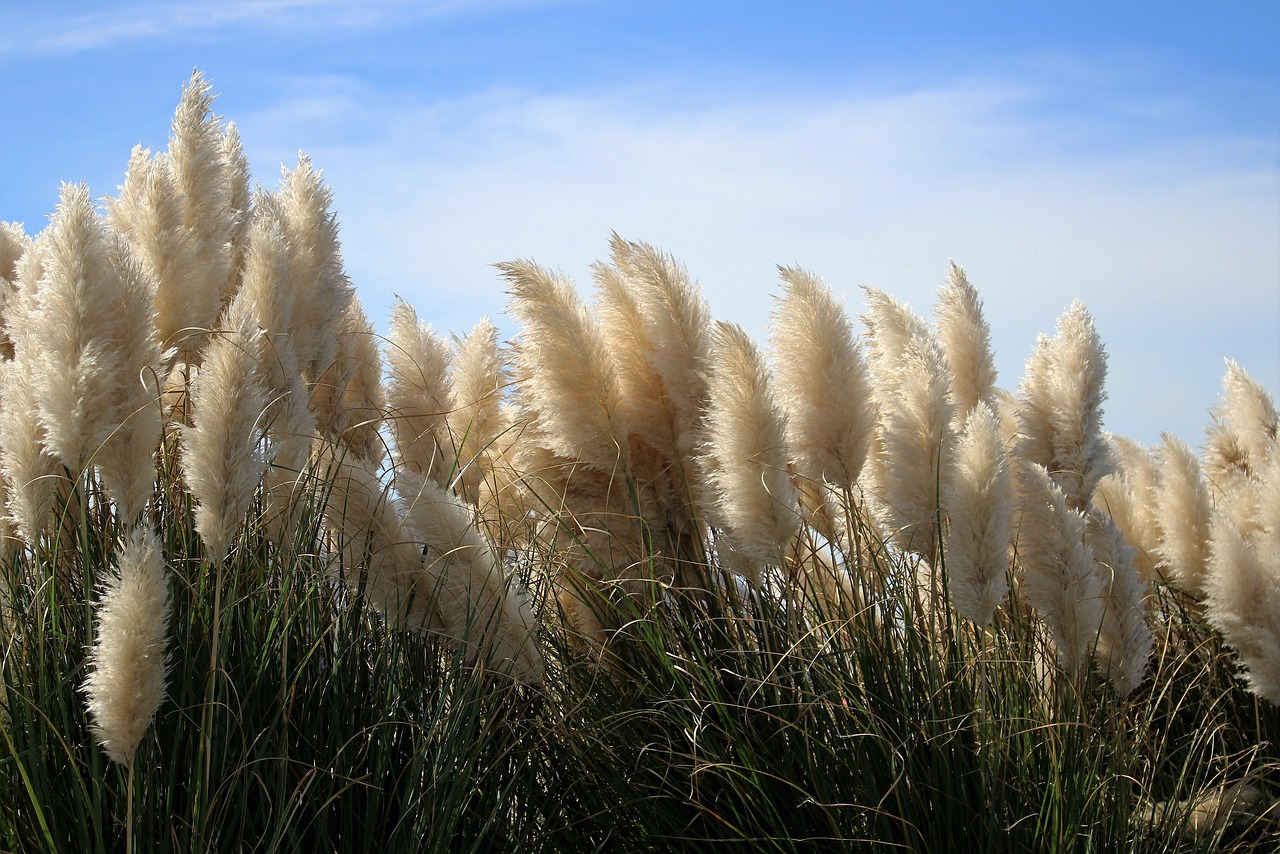 A Haunting and Culinary Adventure in Nags Head