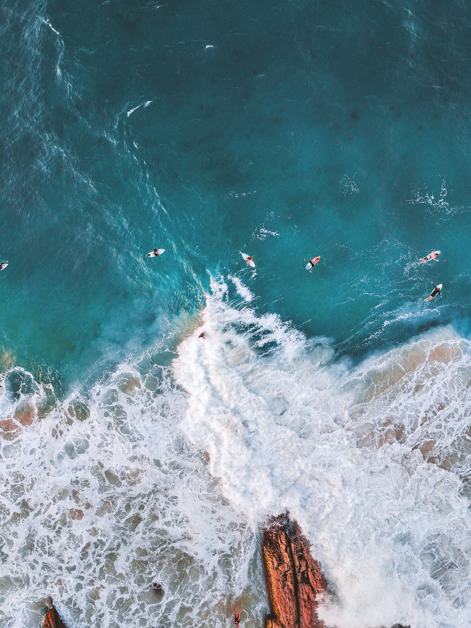 Beach Bliss and Nature Wonders in Gold Coast