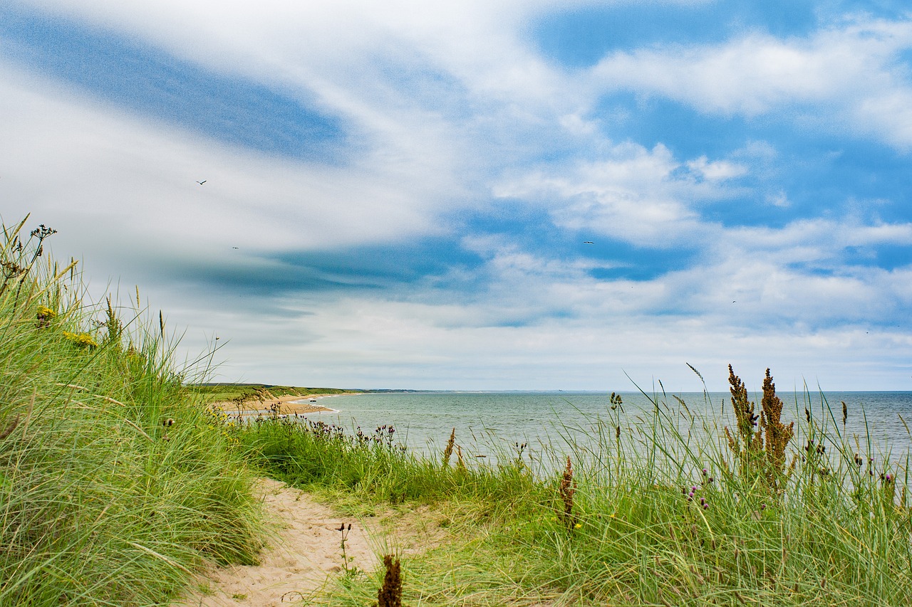 Aberdeen Castle and Coastal Adventure