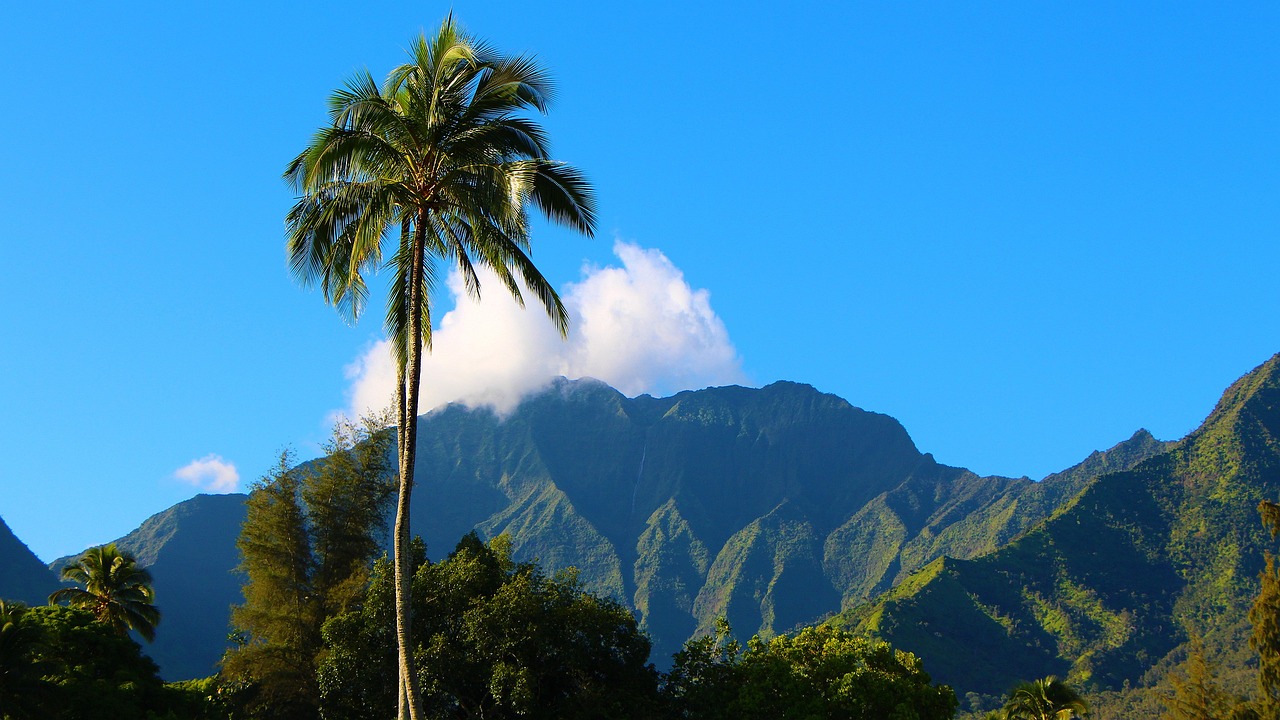 Serene Hanalei Bay: 5-Day Relaxation and Outdoor Escape