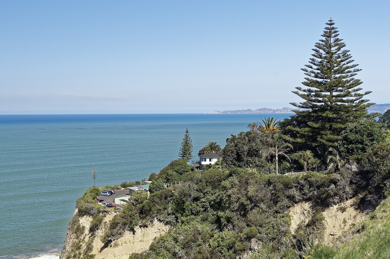 Art Deco and Wine Delights in Napier