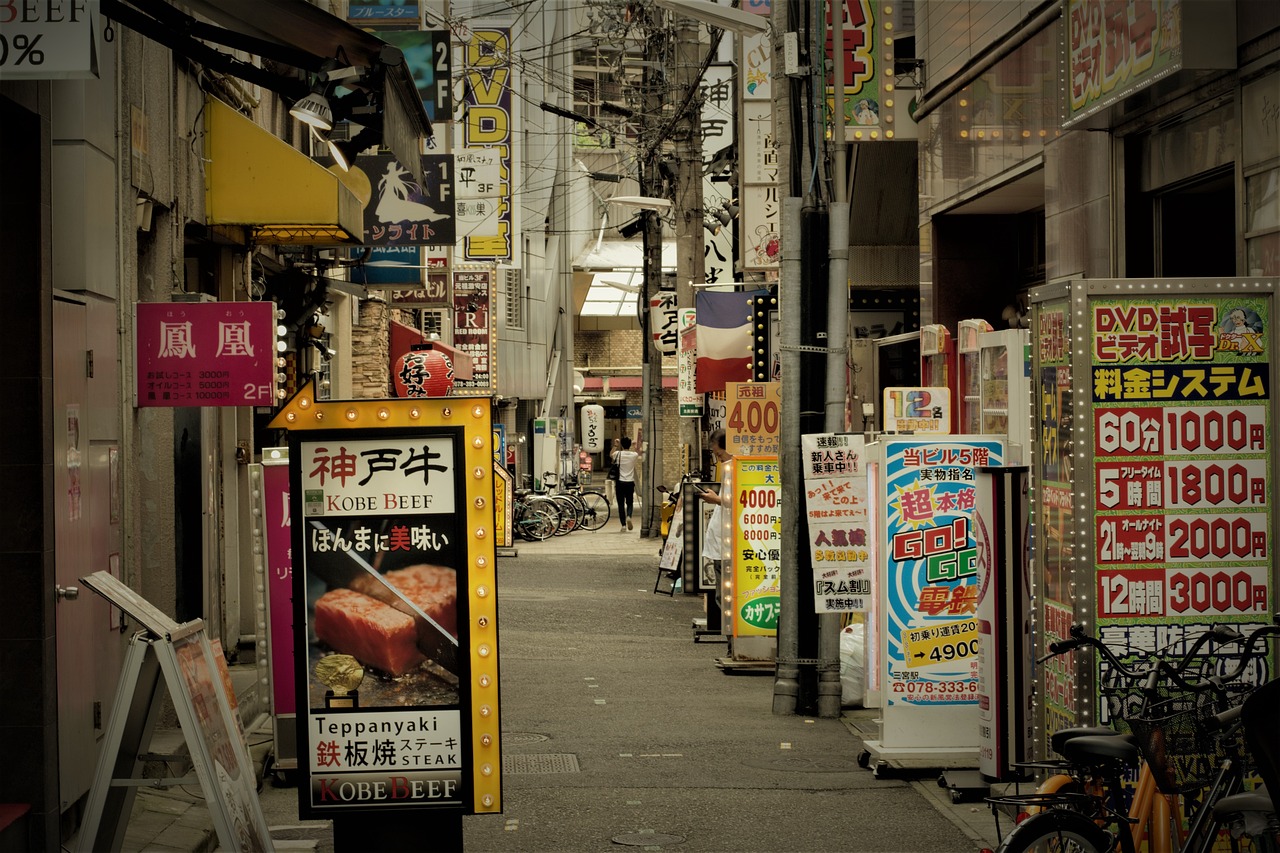 Culinary Delights and Scenic Views in Kobe