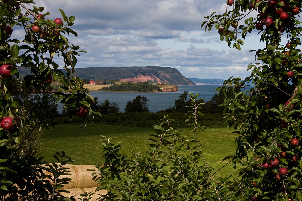 Bay of Fundy Coastal Adventure