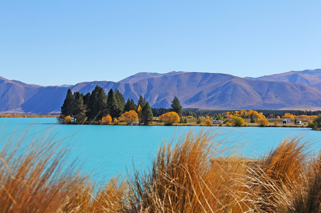 Nature and Adventure Escape in Queenstown