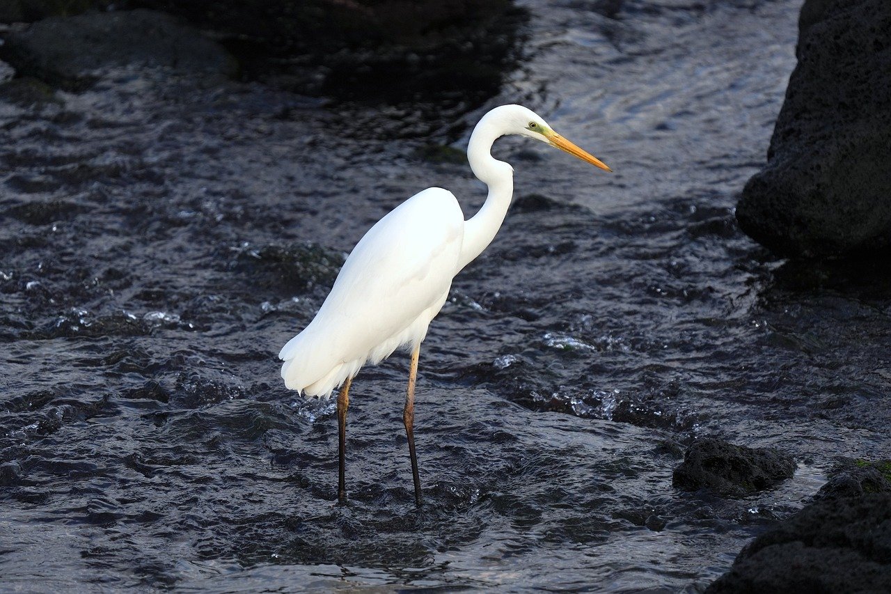 Cultural and Natural Wonders of Jeju Island