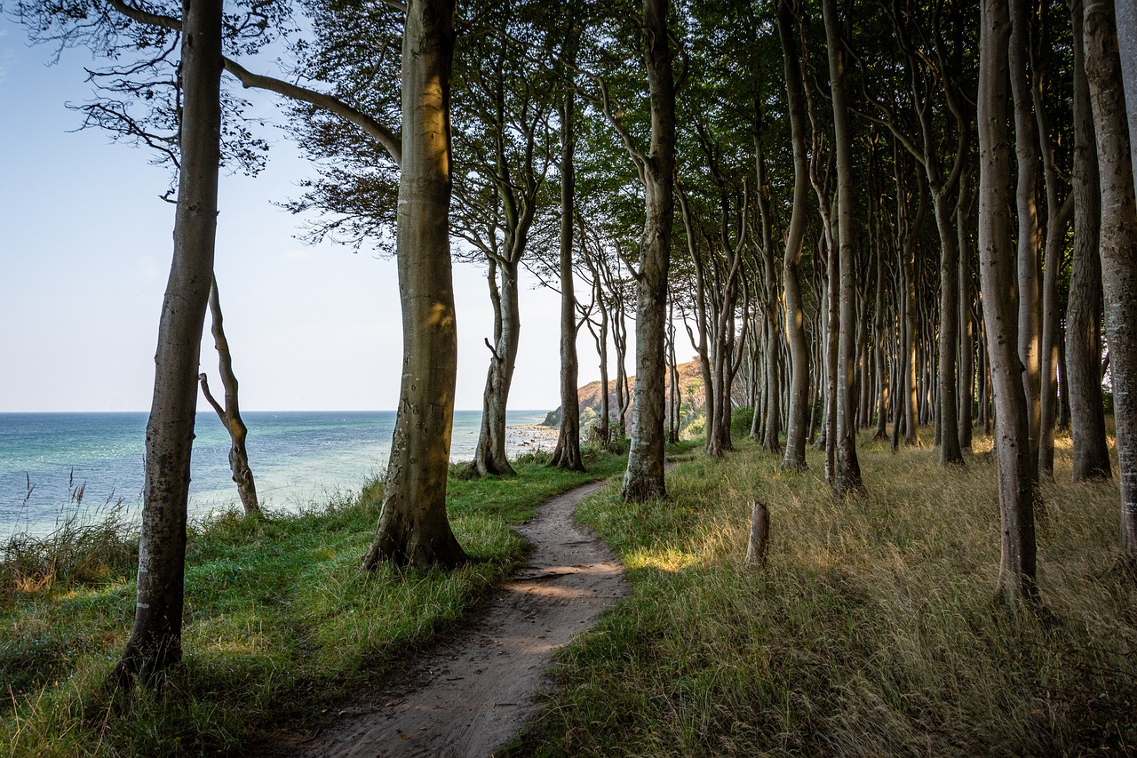 Active Adventures in Rügen