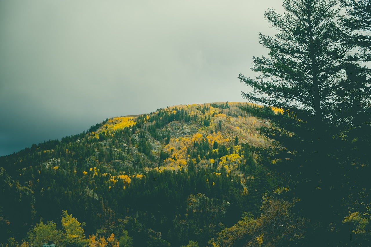 Mountain Adventure in Steamboat Springs