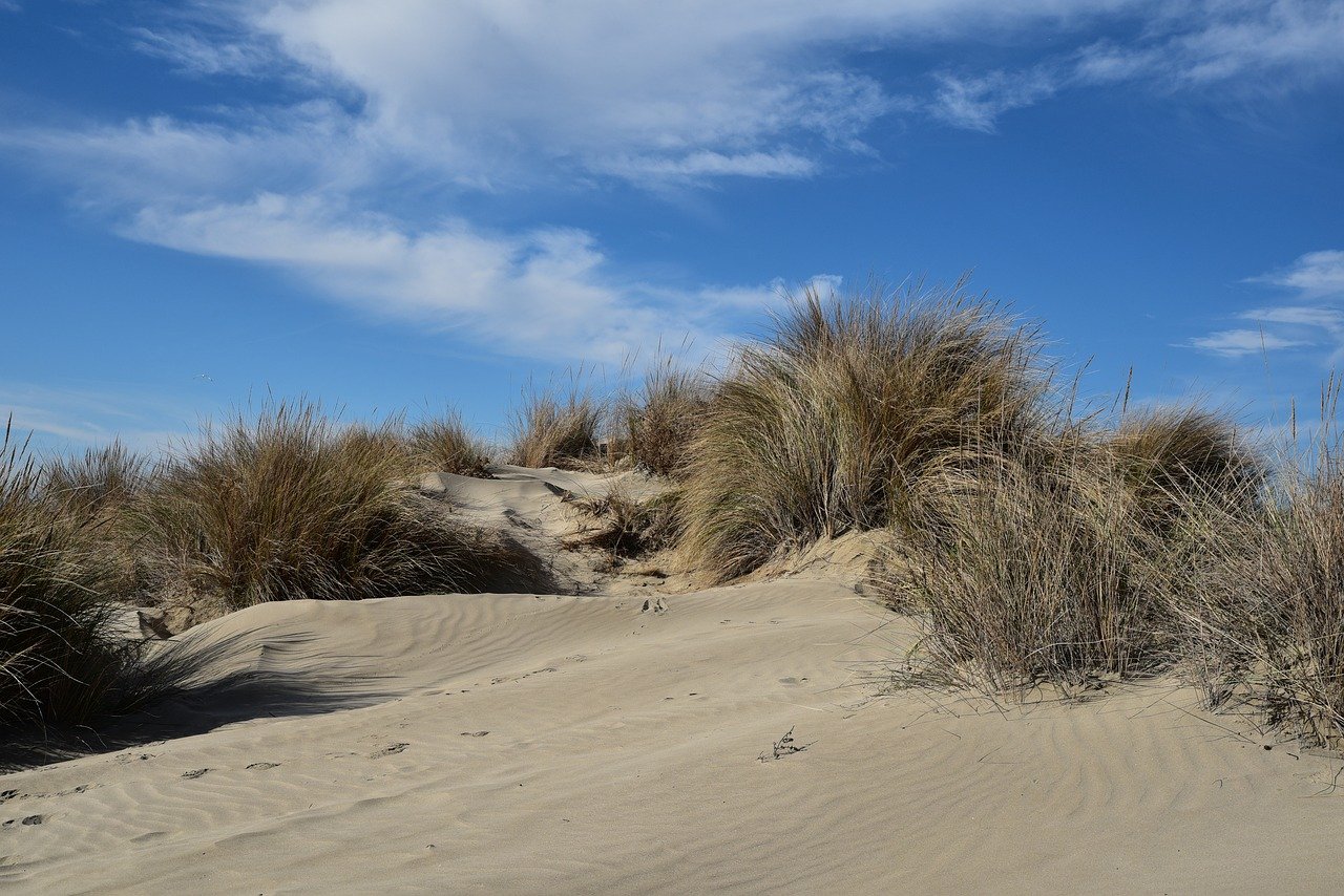 Ancient Wonders and Beach Bliss in Side