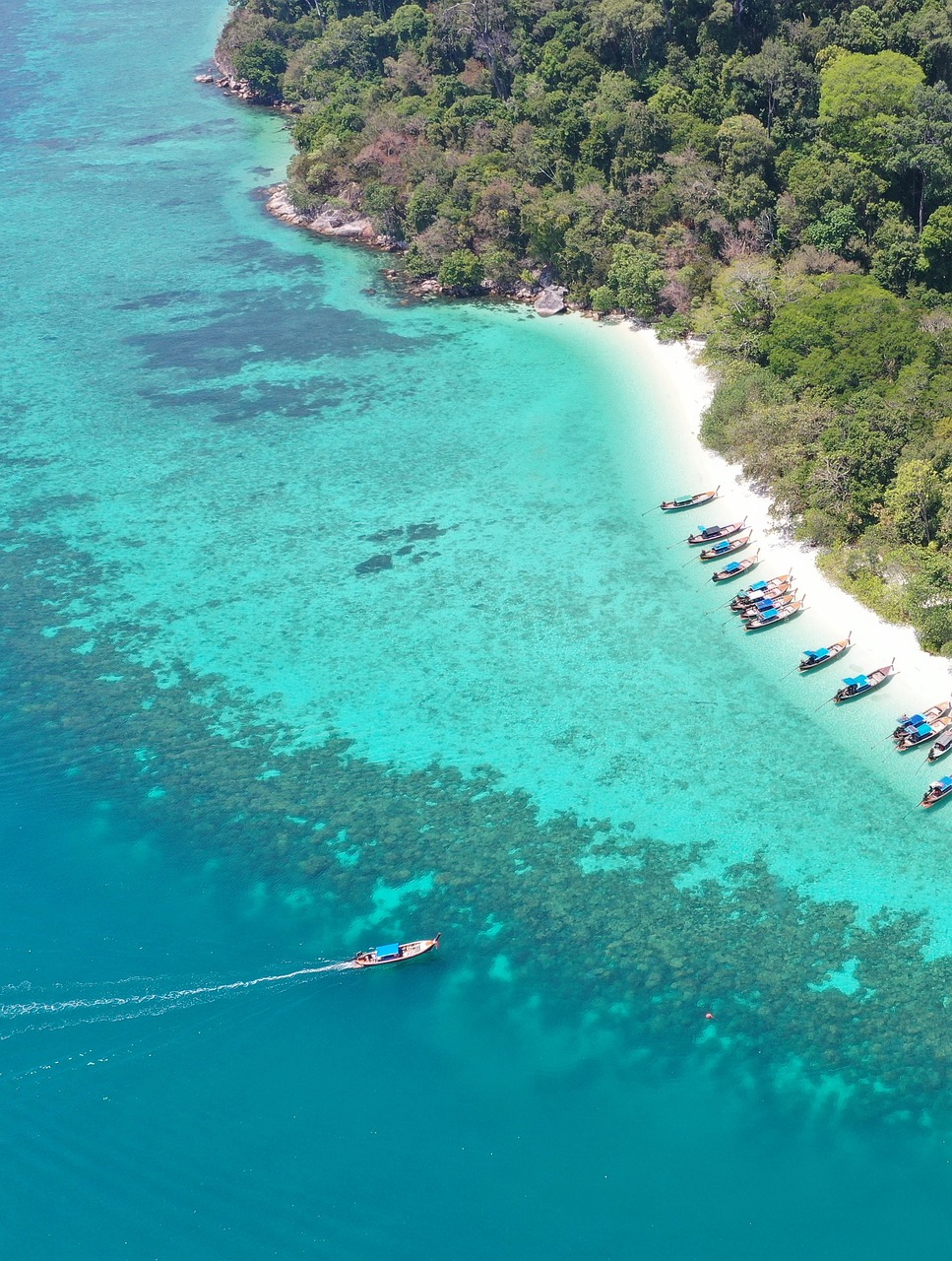 Ultimate Snorkeling and Dining Experience in Koh Lipe
