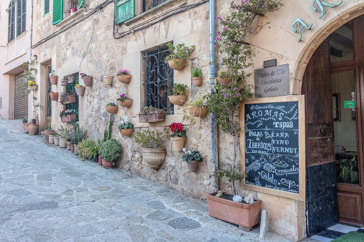 Découverte de Valldemossa et Chartreuse, Paella et Charme Majorquin