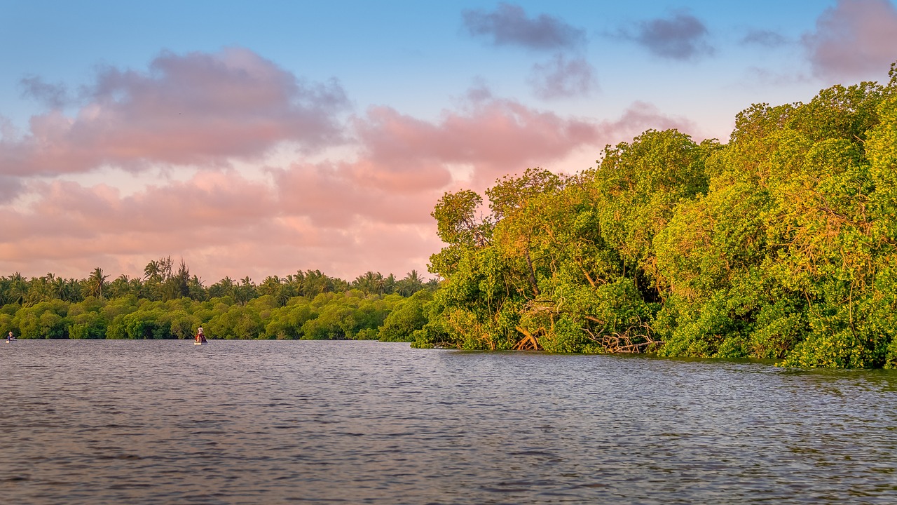 Watamu Marine Park and Gede Village Exploration