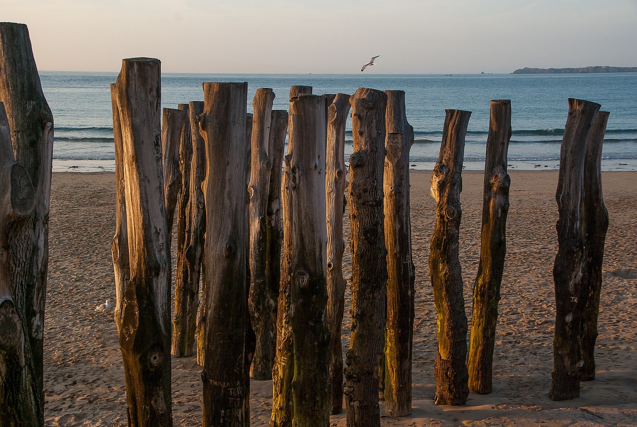 Découverte de la Bretagne: Saint-Malo, Dinan et la Nature Environnante