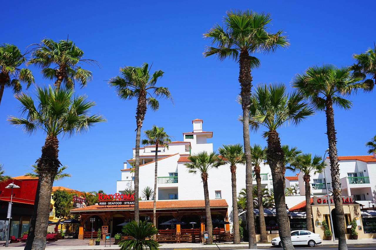 Esplorazione Marina e Gusto a Tenerife Sud