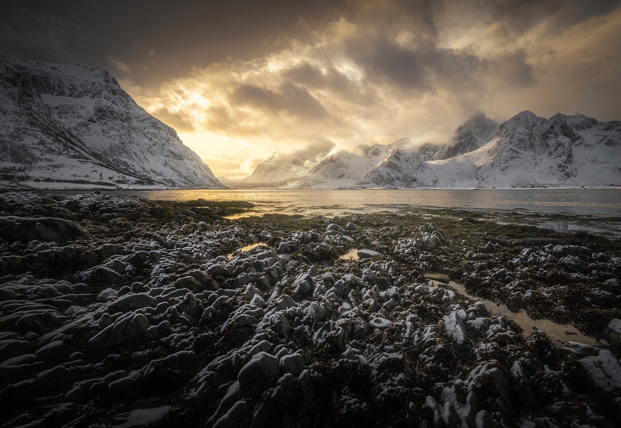 Nature Immersion in Untouched Lofoten Beauty