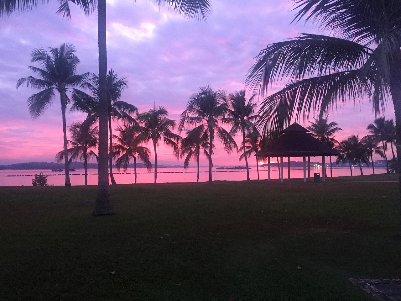 Pasir Ris Nature and Food Delights