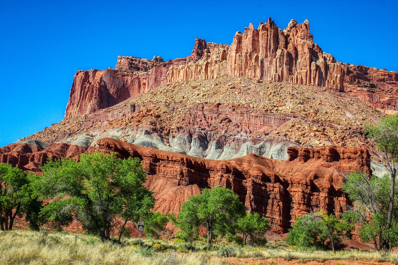 Nature's Serenity in Capitol Reef