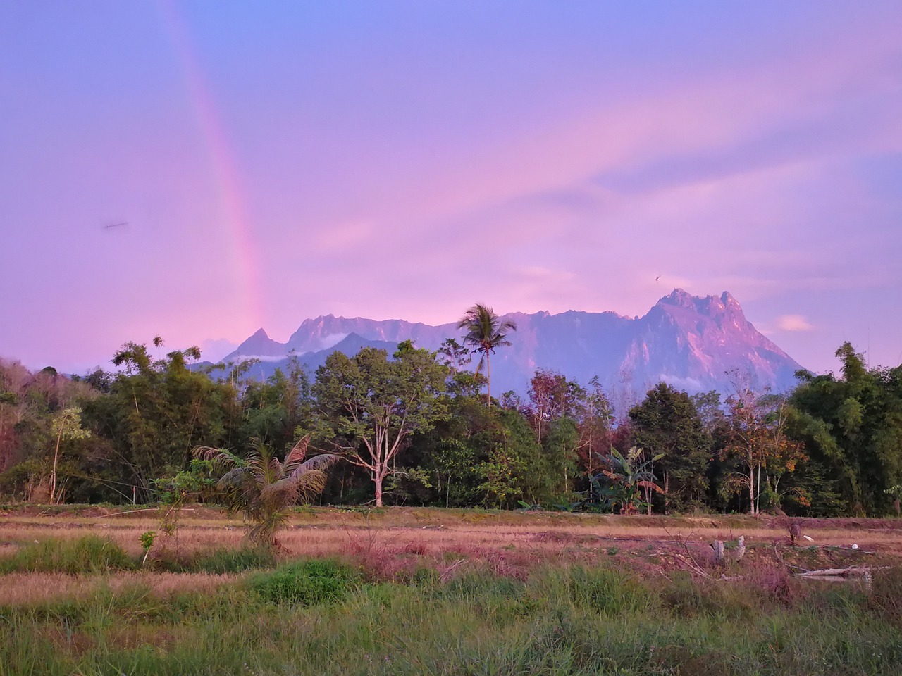 Culinary Delights of Kota Belud in 5 Days