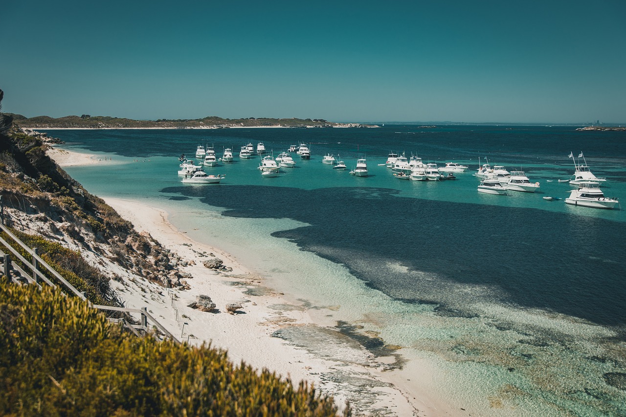 Perth City, Rottnest Island, and Swan Valley Exploration