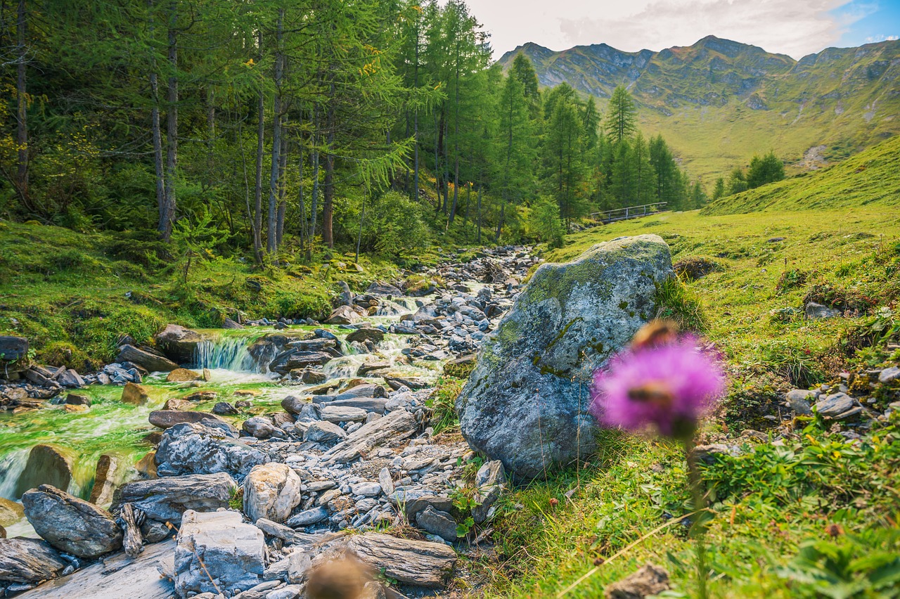 Family Adventure in the Austrian Alps