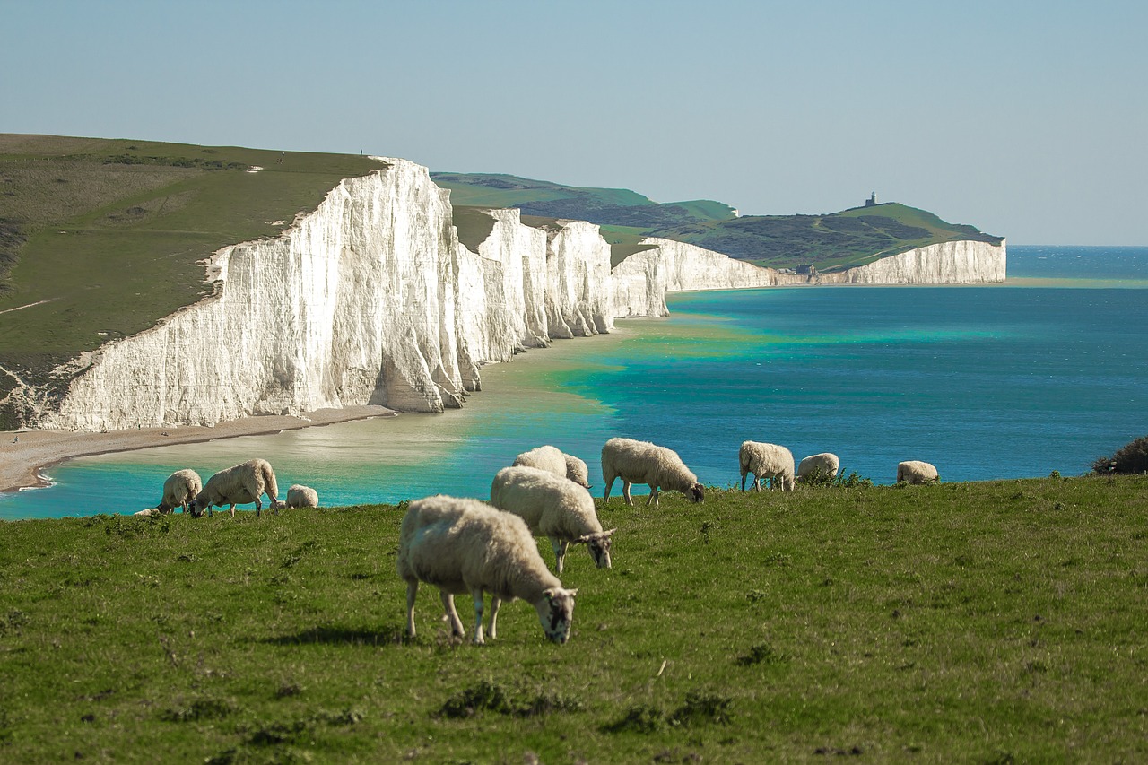 Scenic Seaside and Countryside Delights in Seven Sisters