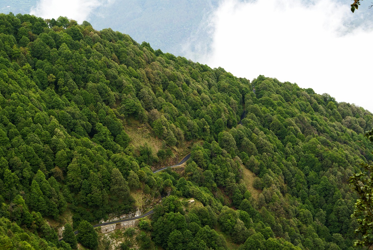 Adventurous Getaway in Nainital and Surroundings