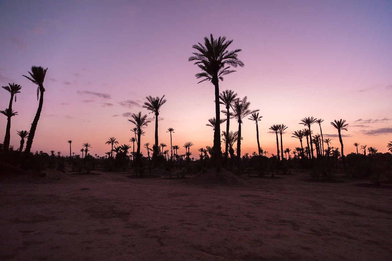 Desert Delights: Palm Springs and Joshua Tree Adventure