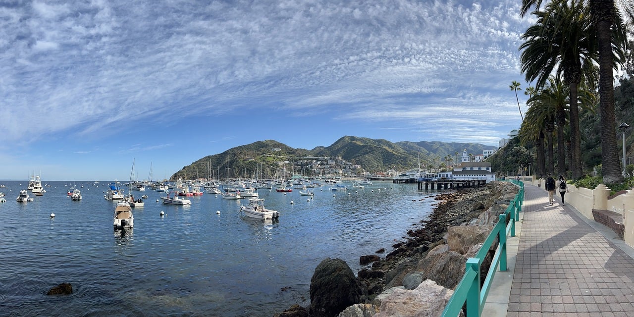 Tech and Nature Fusion in Catalina Island