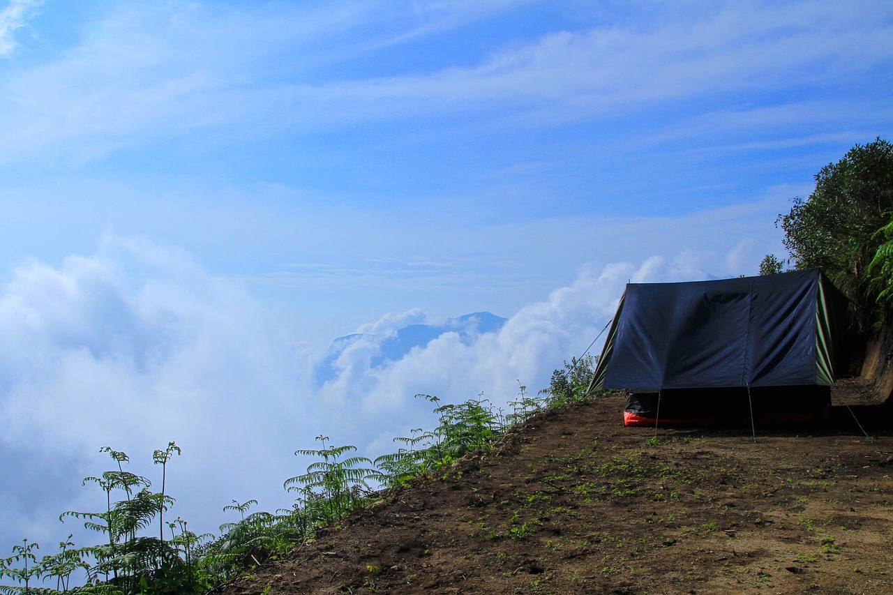 Tea Plantations and Nature in Munnar