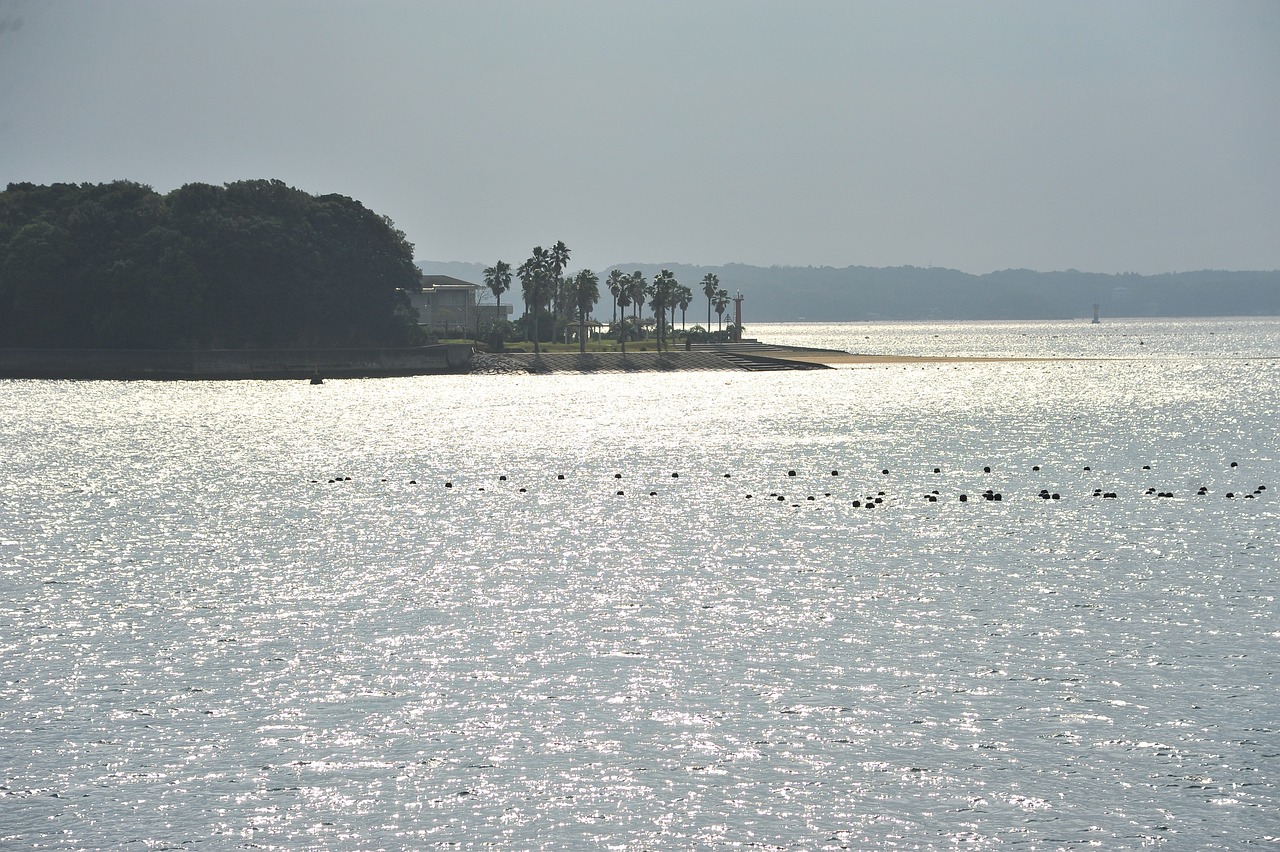 Sacred Serenity in Shima: Ise Grand Shrine & Pearl Harvesting