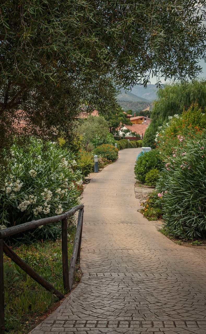 Cultural and Culinary Delights in Chía