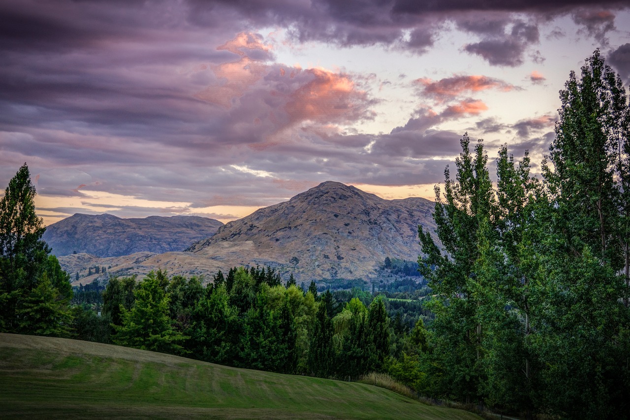 Ultimate Adventure and Culinary Experience in Arrowtown