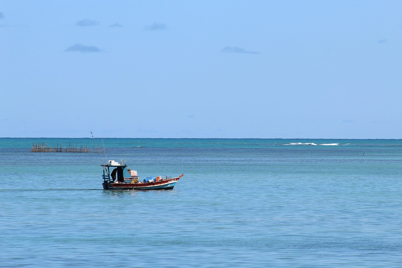 Beach Paradise and Local Cuisine in Maceió