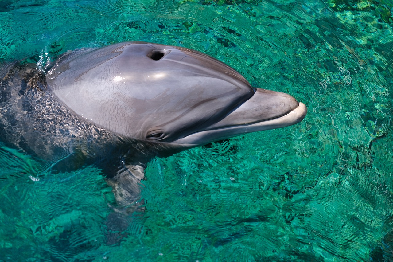 Red Sea Adventure in Eilat