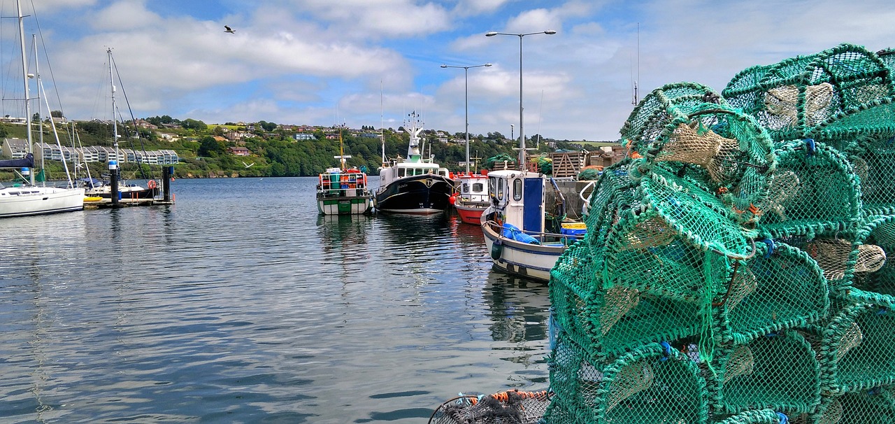 Culinary Delights and Coastal Wonders in Kinsale