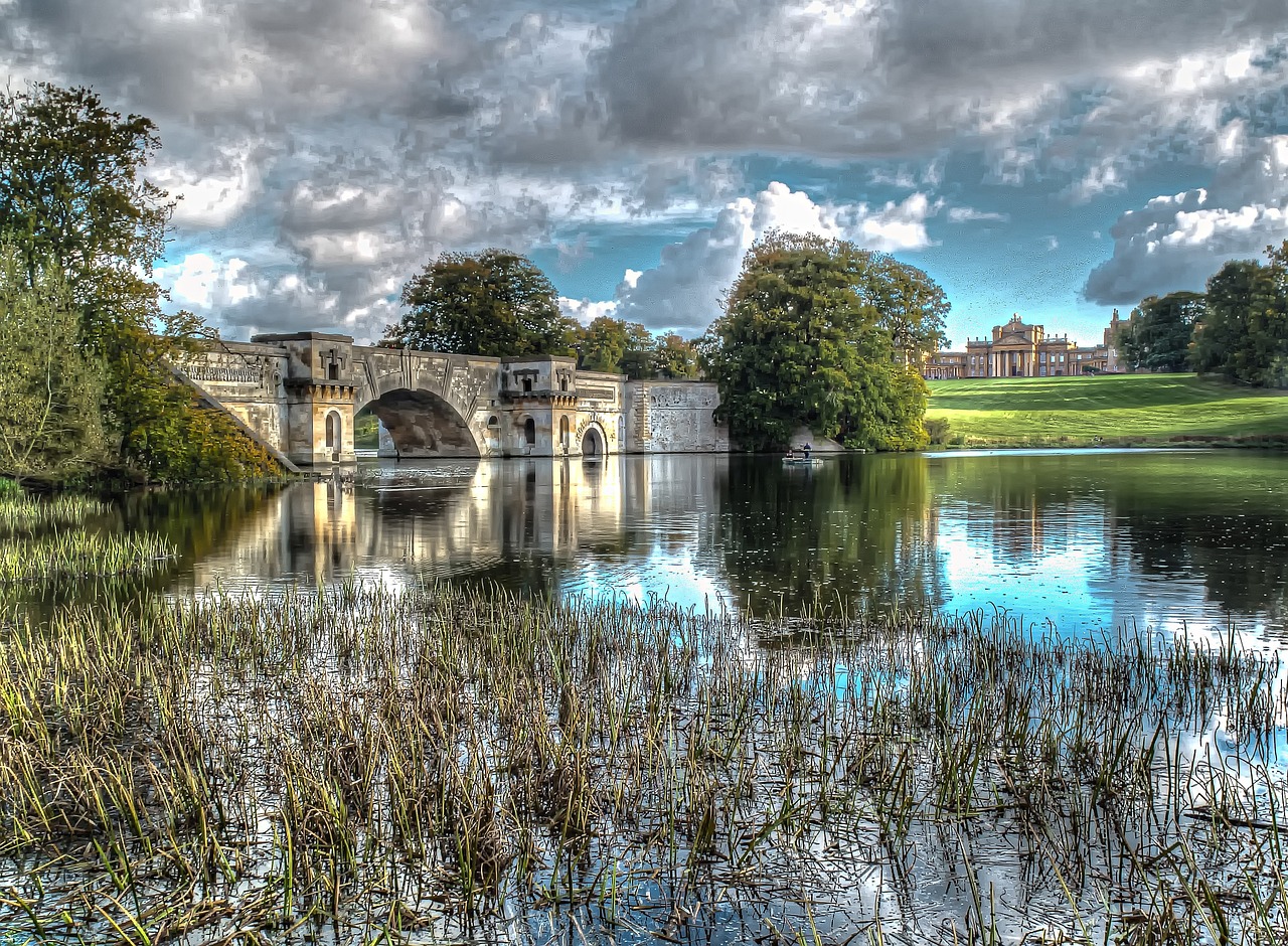 Culinary and Scenic Delights of Blenheim