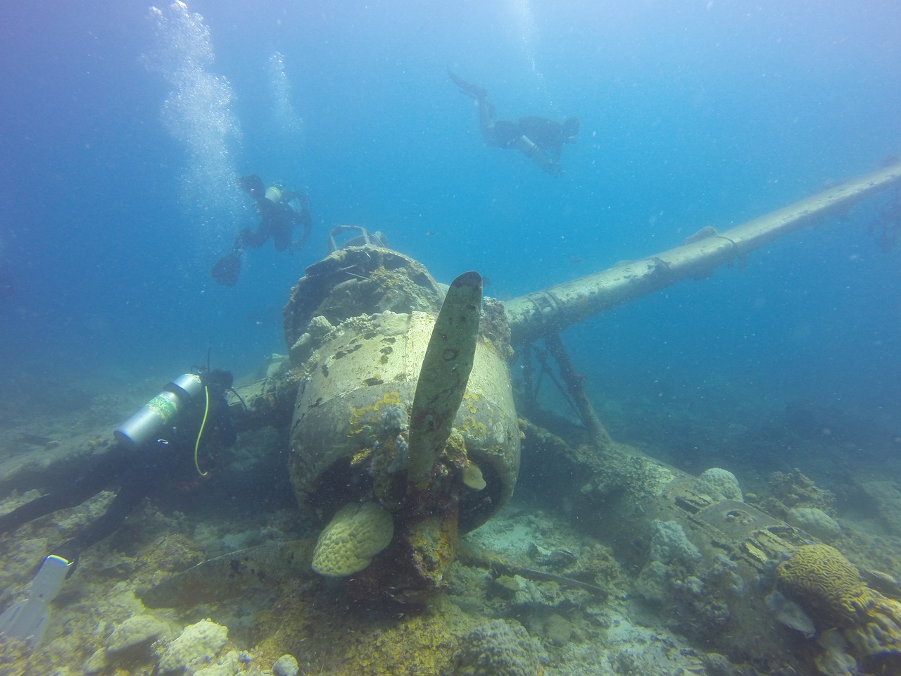 Ultimate 5-Day Palau Adventure: Diving, Snorkeling, and Island Exploration