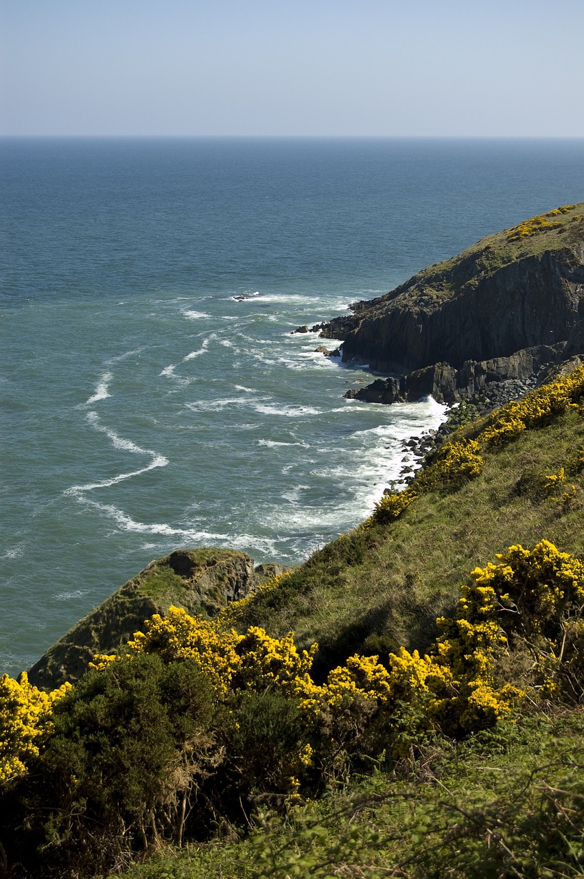 Scenic Beauty and Whiskey Delights in Bray