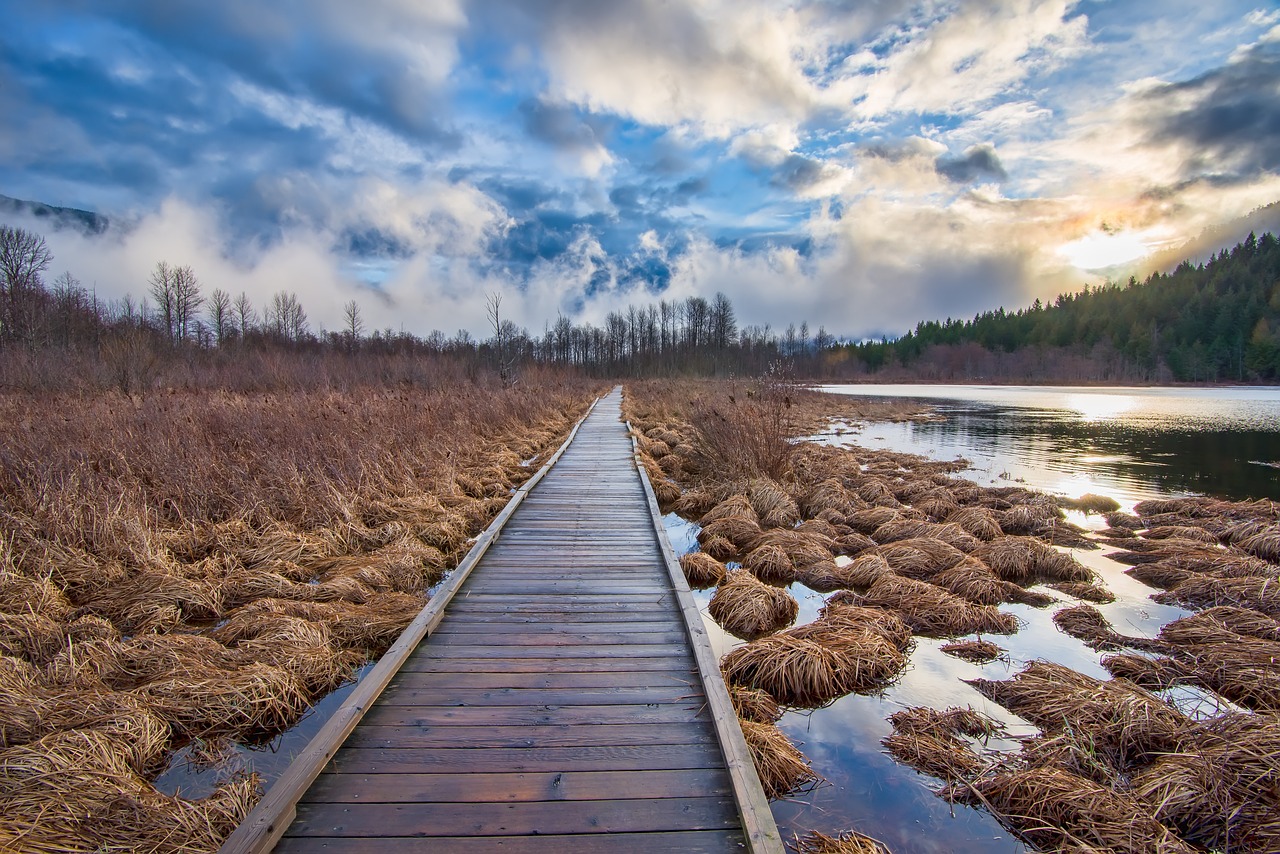 Nature and Culinary Delights in Pemberton