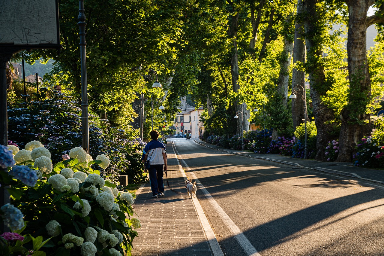 Tranquil Lake Bolsena: 3-Day Escape