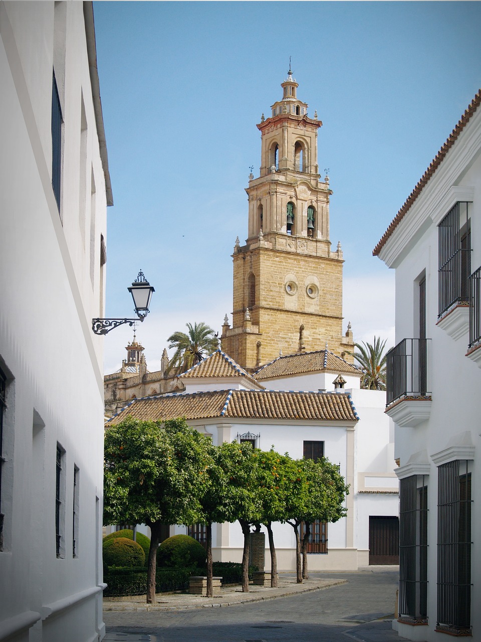 Experiencia Flamenca y Gastronómica en Sevilla